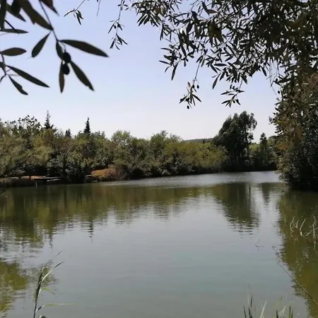 Quiet With Garden And Terrace In 度假居 Fréjus